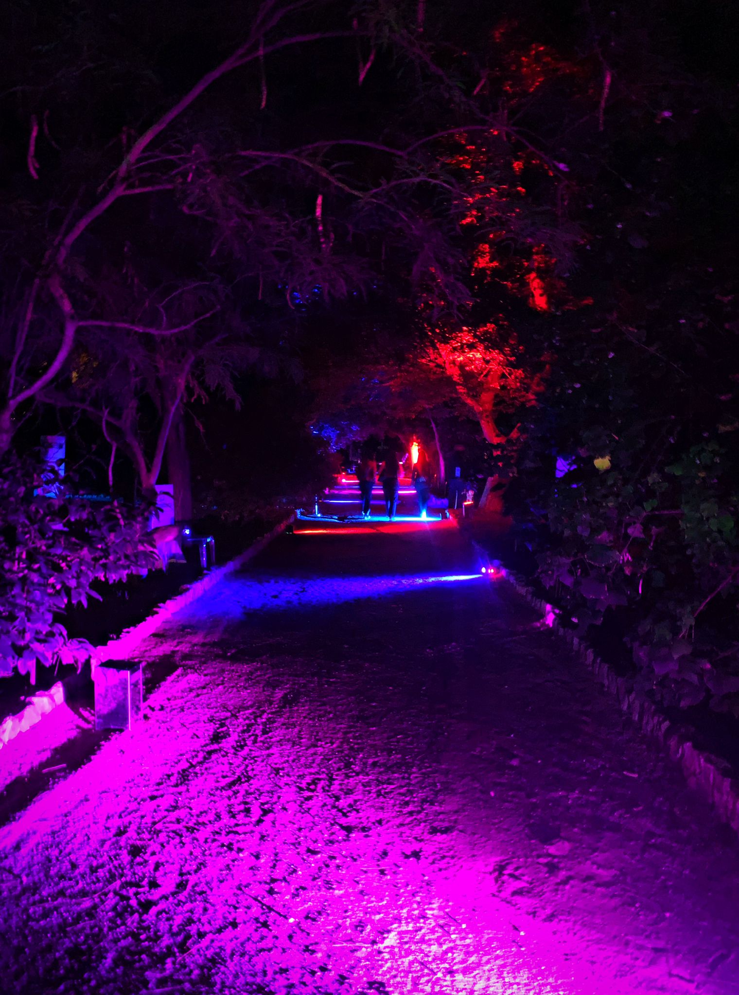 L'Orto botanico diventa lo scenario dell'Adventure night