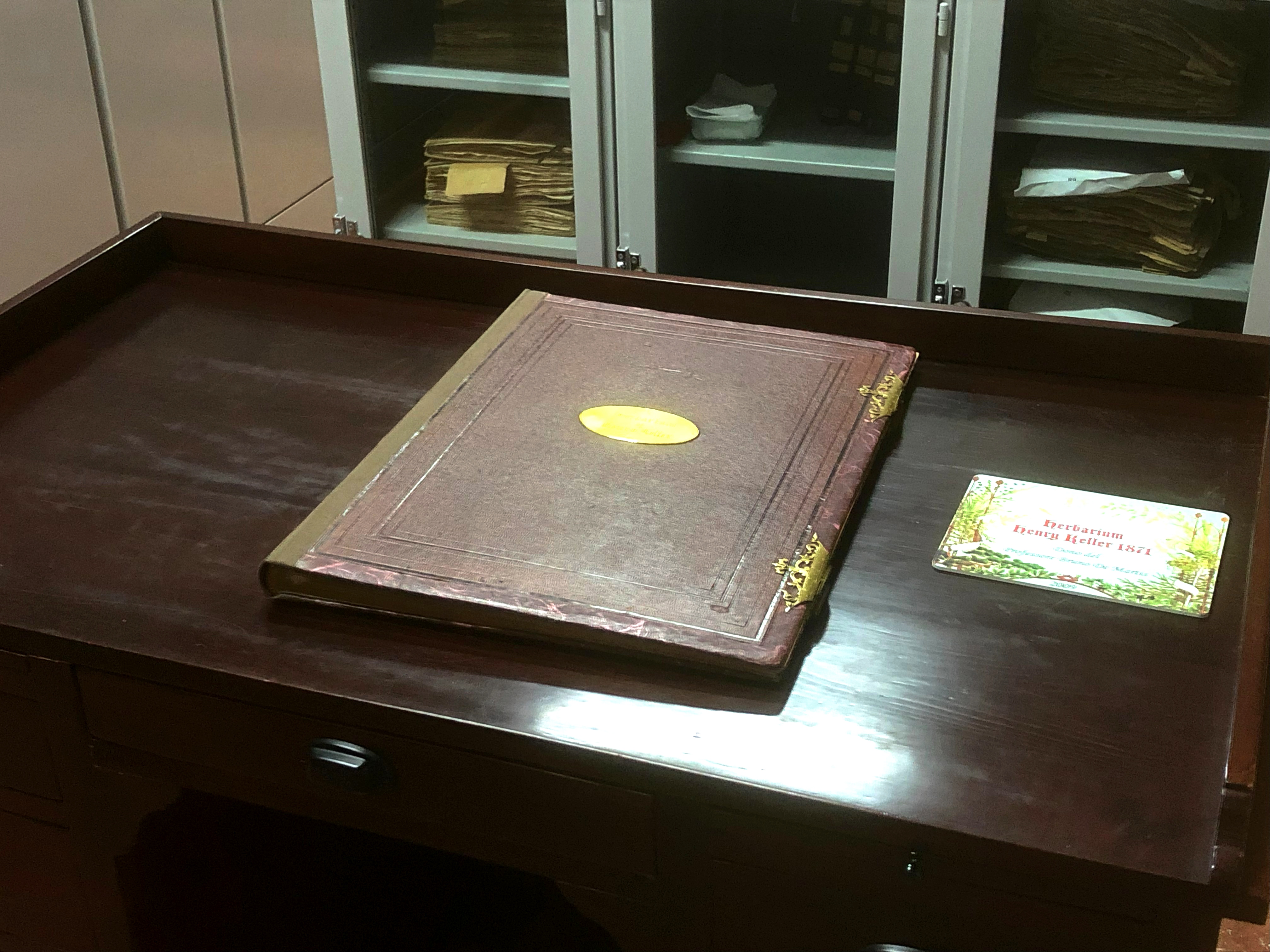 Museo Herbarium