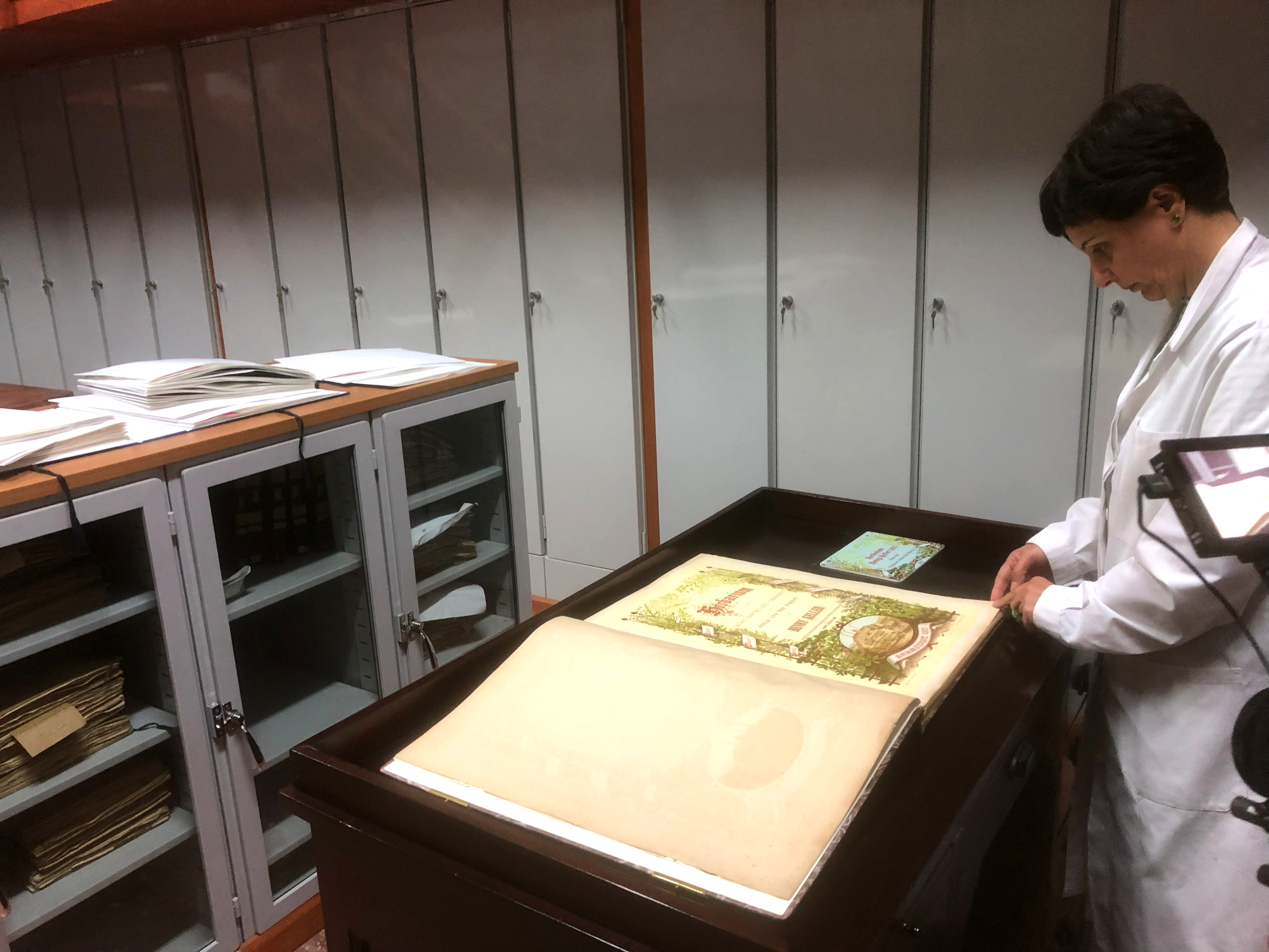 Museo Herbarium