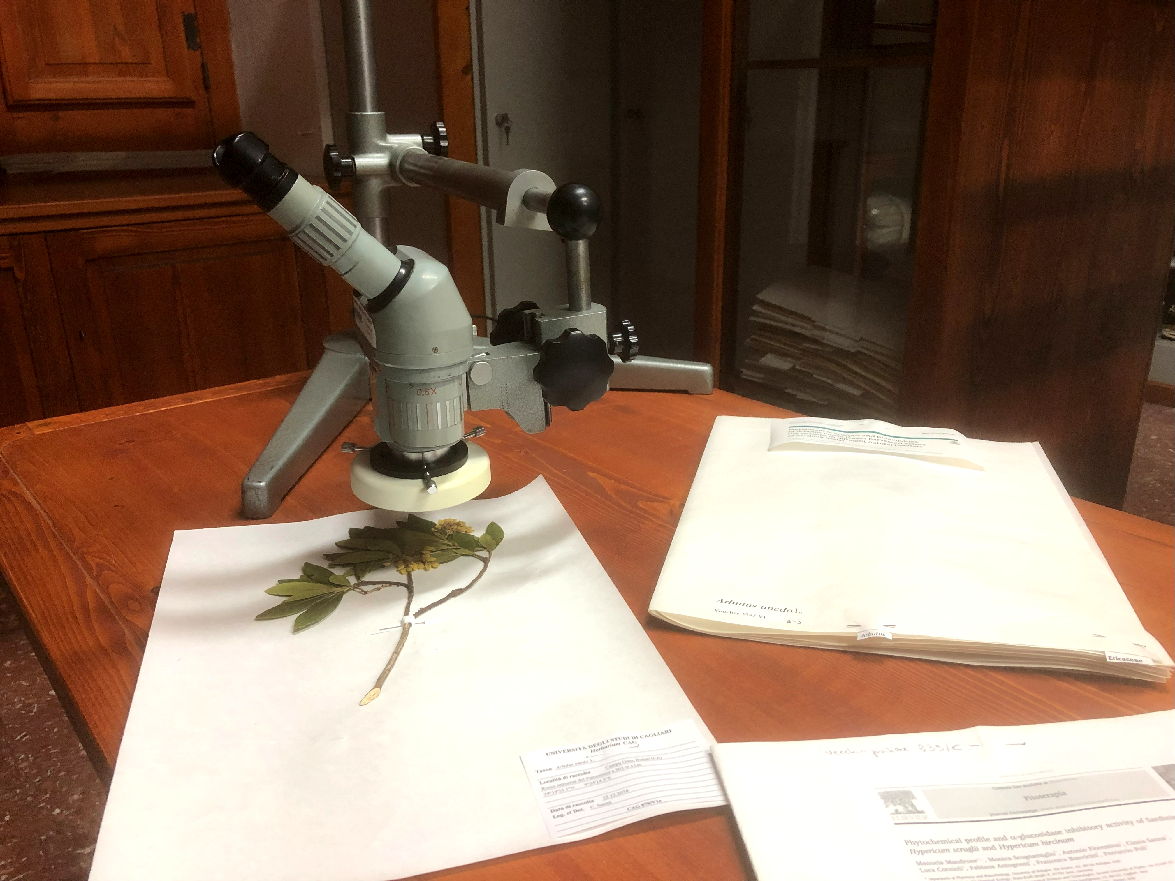 Museo Herbarium