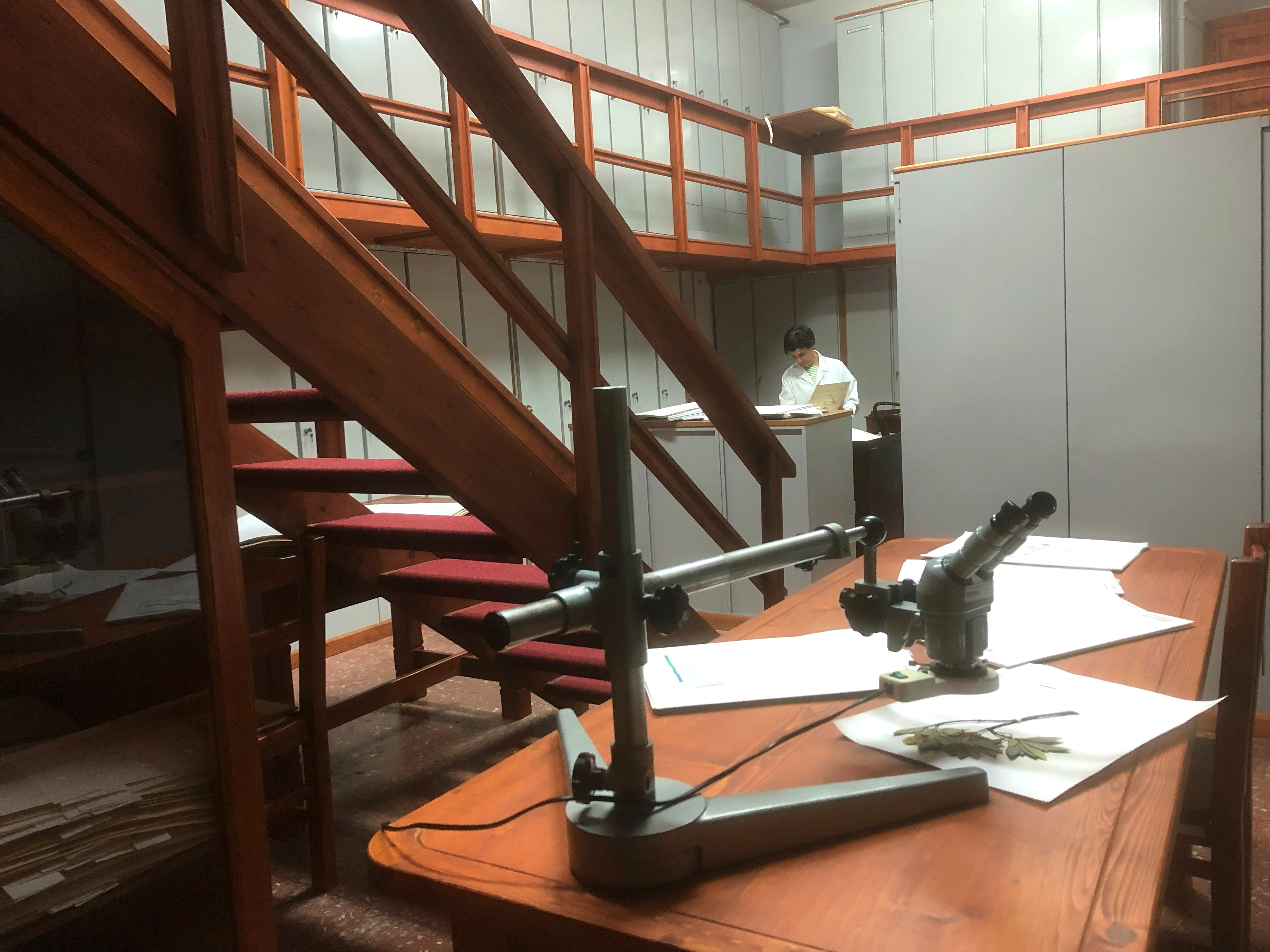 Museo Herbarium