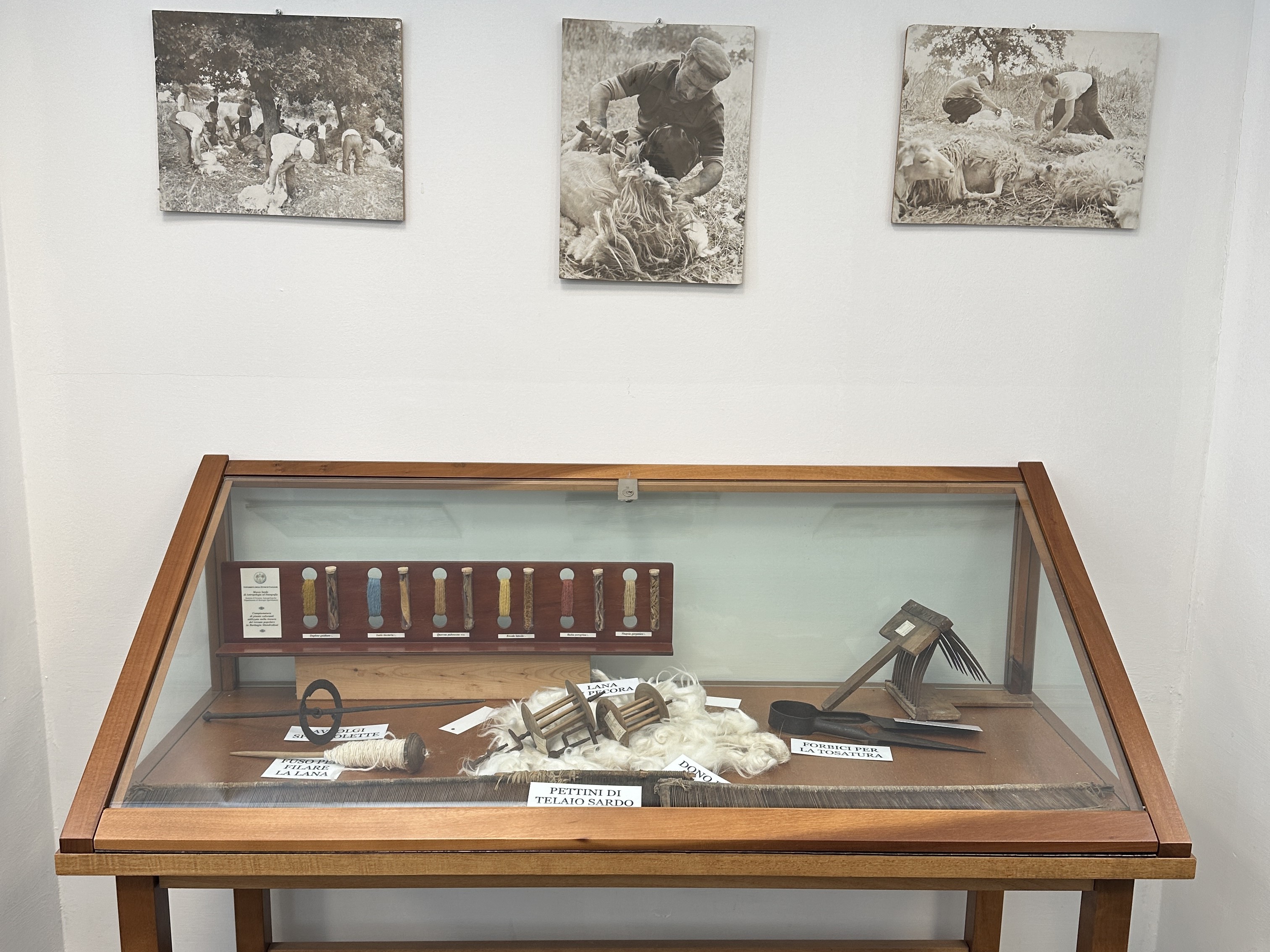 Museo di antropologia ed etnografia