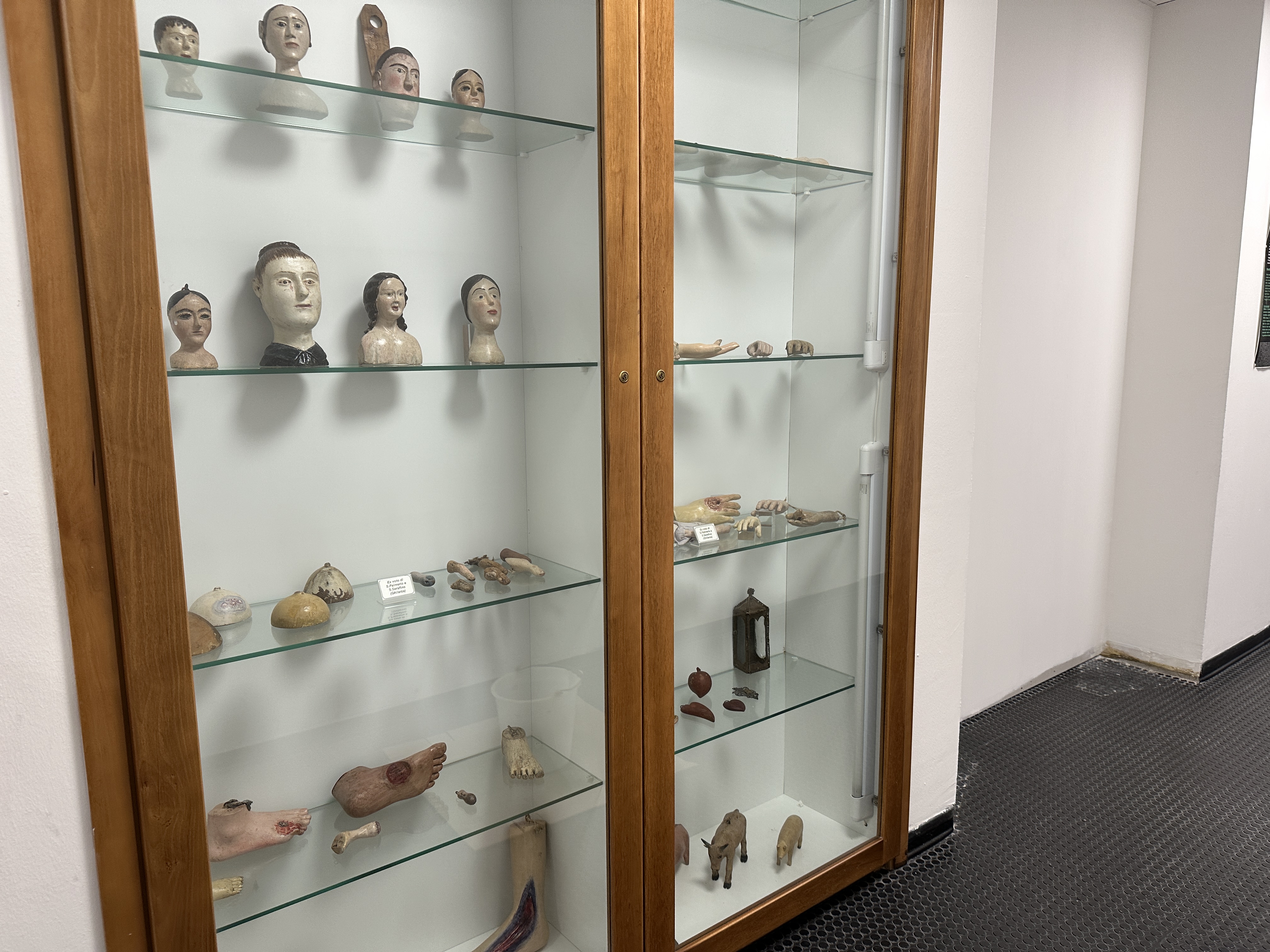 Museo di antropologia ed etnografia