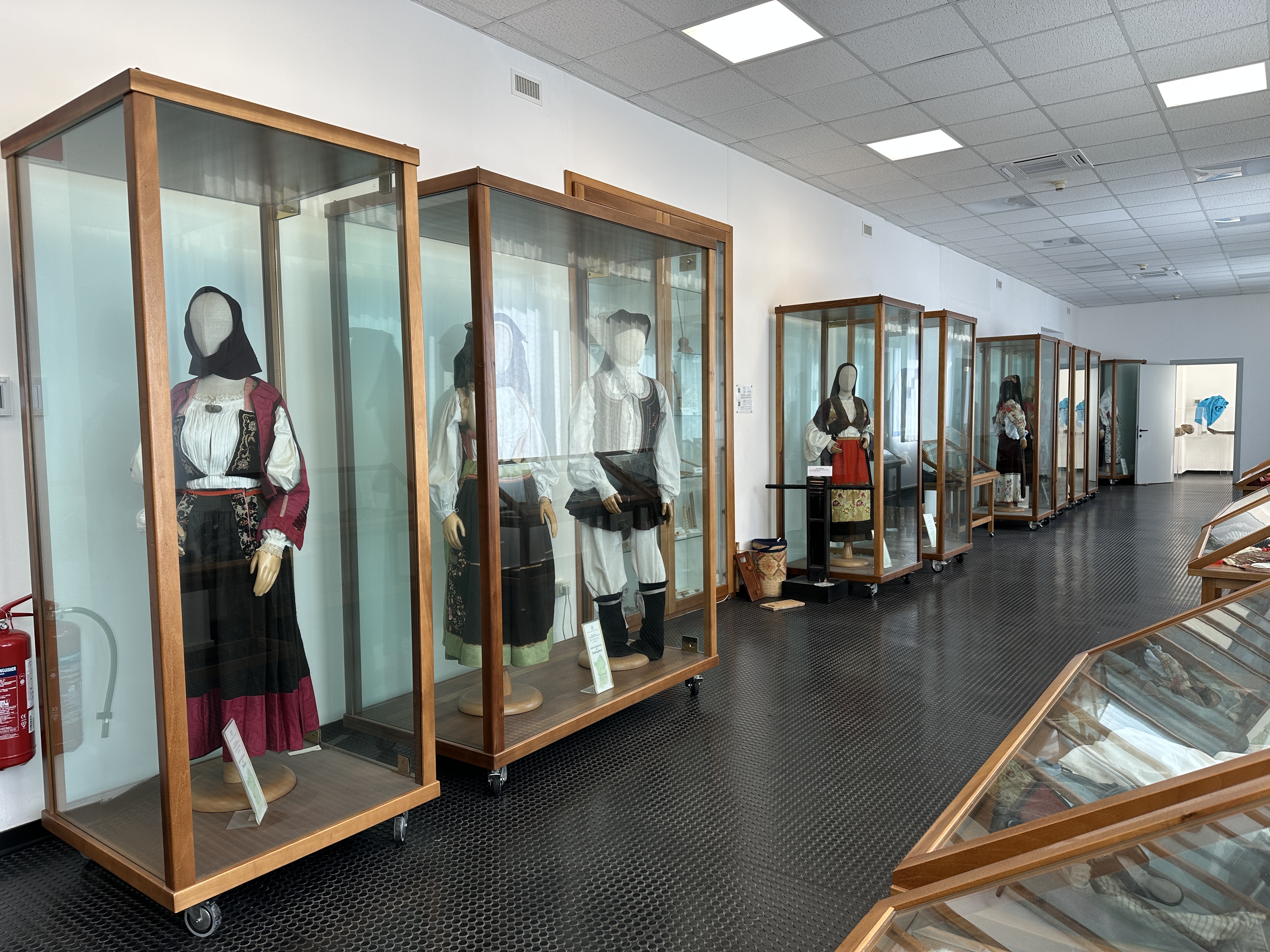 Museo di antropologia ed etnografia