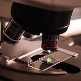 Microscopio