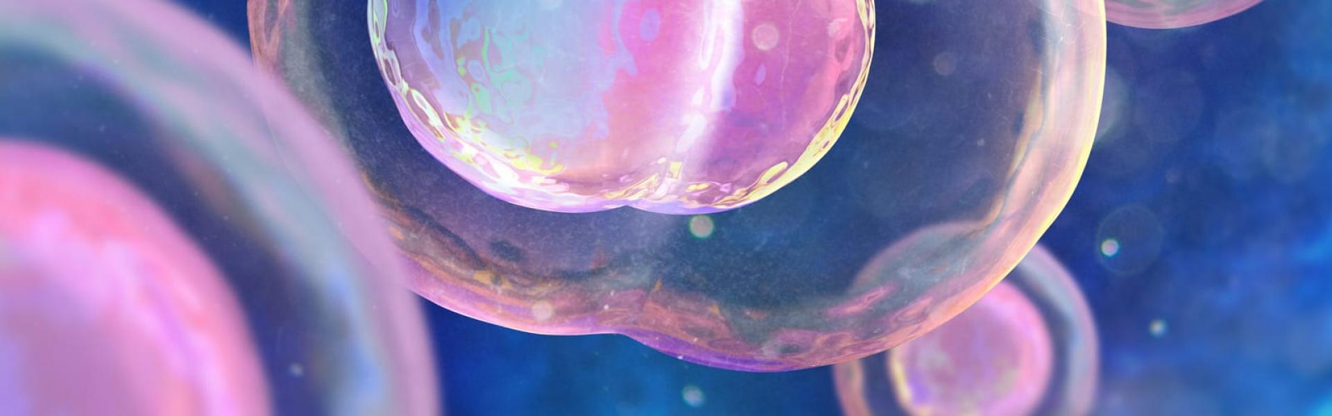 Molecole al microscopio