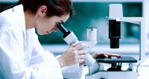 Ricercatrice che esamina un campione al microscopio