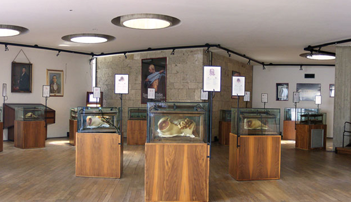 collezione_cere_anatomiche