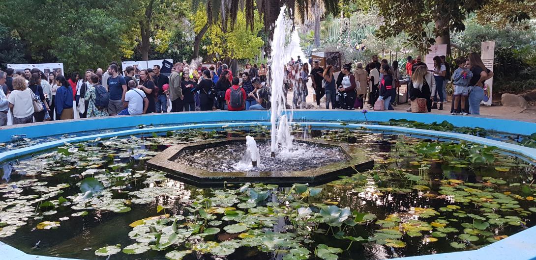 orto_botanico_ninfee